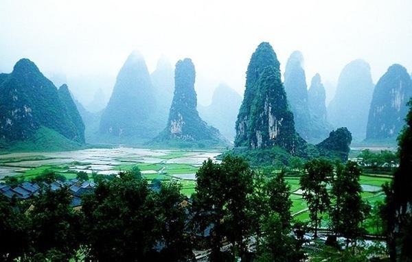 智力水滴