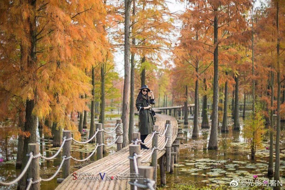 智云健康:股价不寻常波动 不知悉出现波动的任何原因