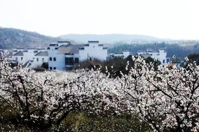 逃离无人的学校