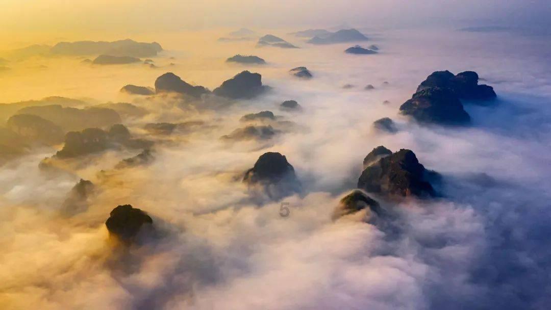 沪江开心词场
